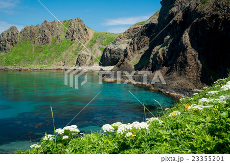 礼文島04 23355201