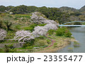 桜とダム 23355477