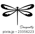 Black and white dragonfly 23356223