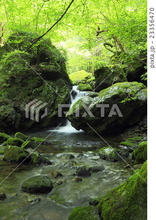 海沢渓谷 23356470