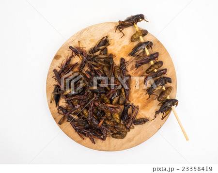 Fried insects. Protein rich food. Fried insects. Protein rich food. 23358419
