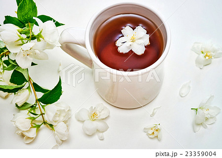 Tea cup with Jasmine flowers on white background Tea cup with Jasmine flowers on white background 23359004
