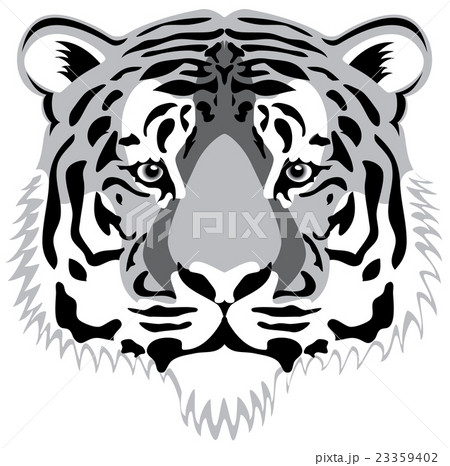 tiger head 23359402