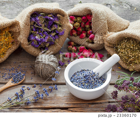 Healing herbs in bags and mortar with lavender 23360170