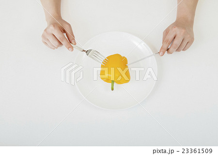 黄パプリカ1個をフォークとナイフで食べるダイエットイメージ 黄パプリカ1個をフォークとナイフで食べるダイエットイメージ 23361509
