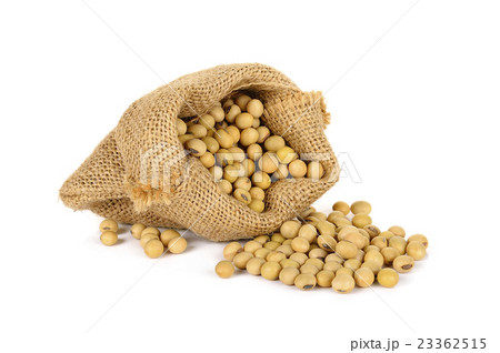 Soy bean with sack isolated Soy bean with sack isolated 23362515