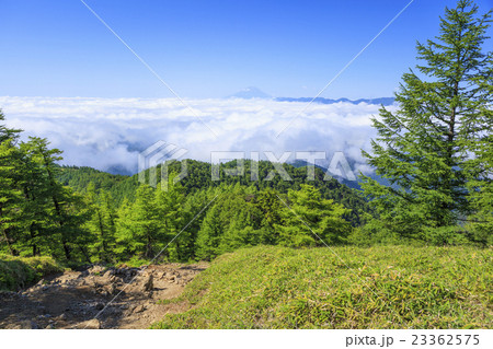 雲取山の小雲取山から望む雲海の富士山　東京都奥多摩町　山梨県丹波山村 23362575