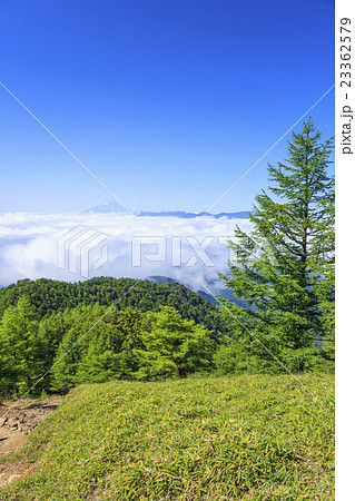 雲取山の小雲取山から望む雲海の富士山　東京都奥多摩町　山梨県丹波山村 23362579