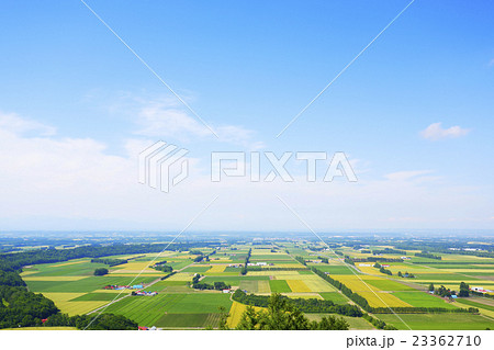 【オーダー用】北海道の風景写真 北海道 風景 写真」の人気商品一覧 | 安い商品を通販サイトから