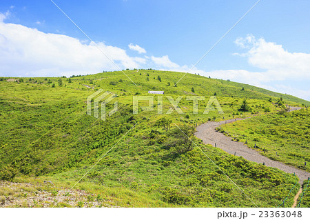 夏の鉢伏山　長野県松本市　岡谷市 23363048