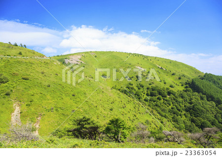 夏の鉢伏山　長野県松本市　岡谷市 23363054