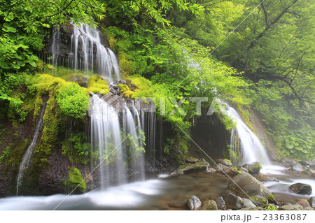 朝靄かかる吐竜の滝 23363087