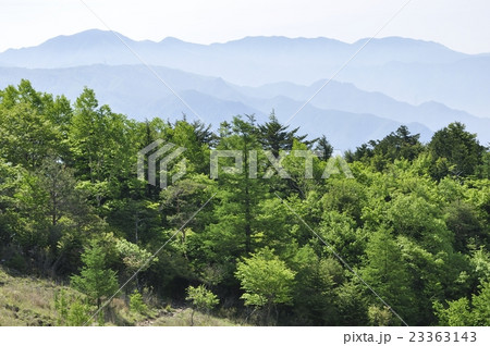 乾徳山の扇平より望む大菩薩連嶺 23363143