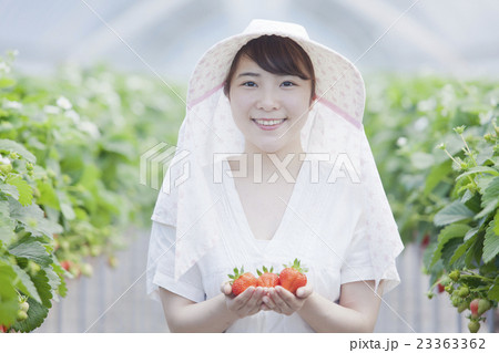 いちご農家の女性 23363362
