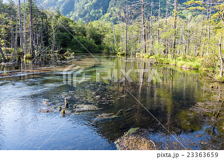 岳沢湿原 岳沢湿原 23363659
