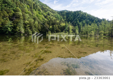 明神一之池 23363661