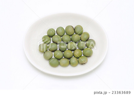 青大豆 23363689