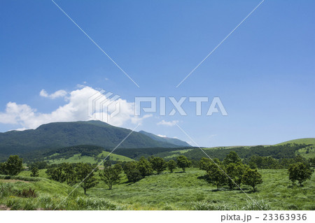 瀬ノ本高原 23363936