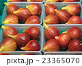 イチジク 23365070