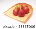 いちじく 23365086