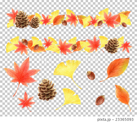 Autumn parts set 23365093