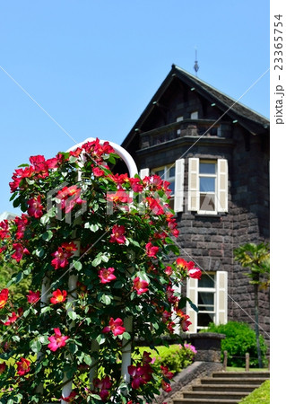 薔薇のある庭の写真素材