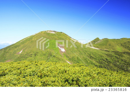 八甲田山の小岳から望む夏の八甲田大岳　青森県青森市 23365816