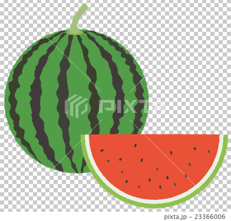 西瓜 23366006