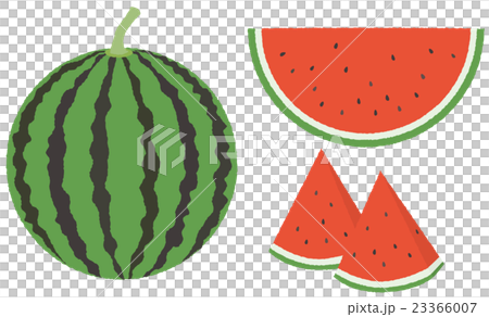 西瓜 23366007