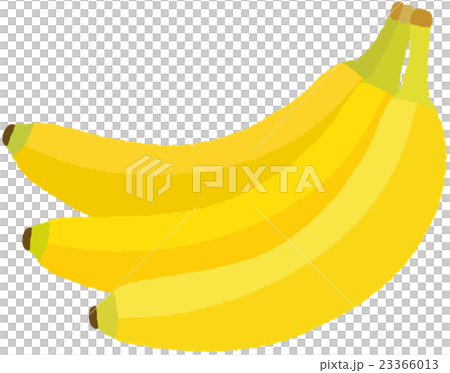 banana 23366013