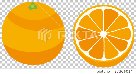 Orange  23366014