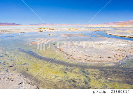 Hot water ponds on the Andes, Bolivia 23366314