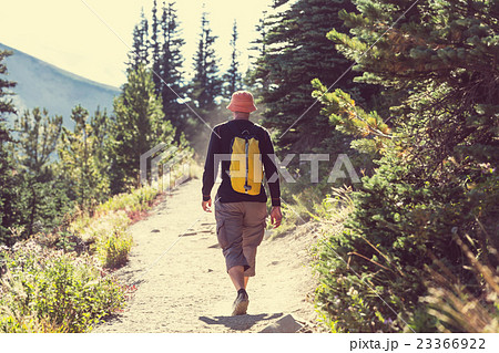 Summer hike 23366922