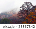 雨上がりの山々 23367342