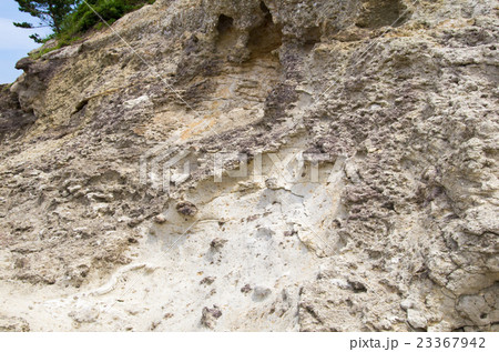岩肌（櫛島の岩） 23367942