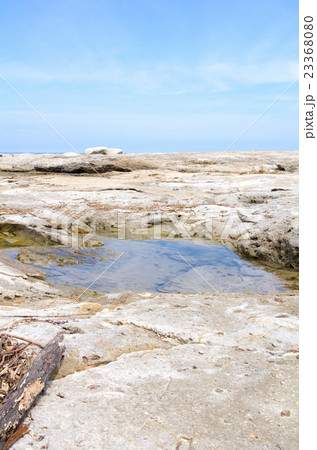 温泉津、櫛島公園（7月・潮溜まり） 23368080