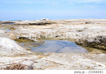 温泉津、櫛島公園(7月・潮溜まり) 温泉津、櫛島公園(7月・潮溜まり) 23368081