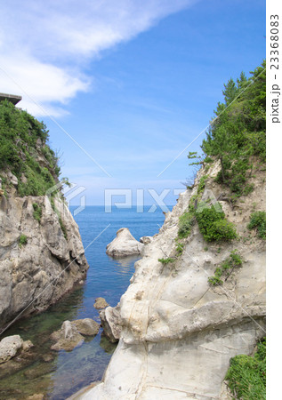 温泉津、櫛島公園（7月） 23368083