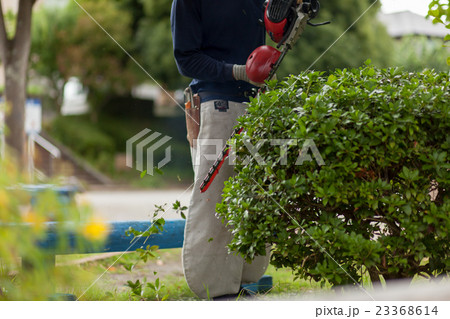 庭師 庭師 23368614