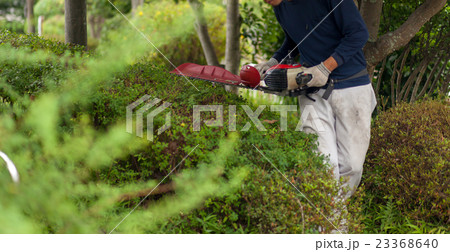 庭師 23368640