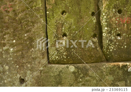 Green and white fungus on sandstone texture Green and white fungus on sandstone texture 23369115