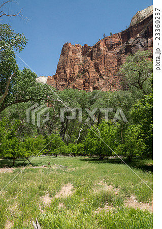 ザイオン国立公園 23369237