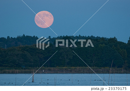 満月 満月 23370175