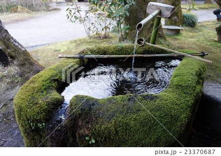 苔の手水舎 23370687