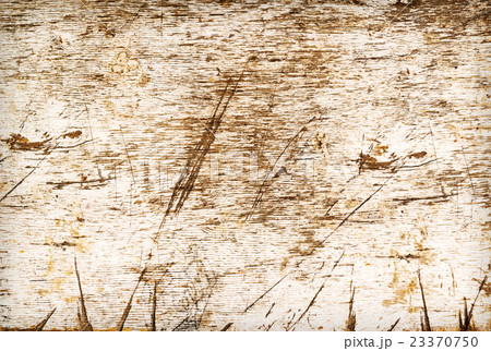 White wood texture 23370750
