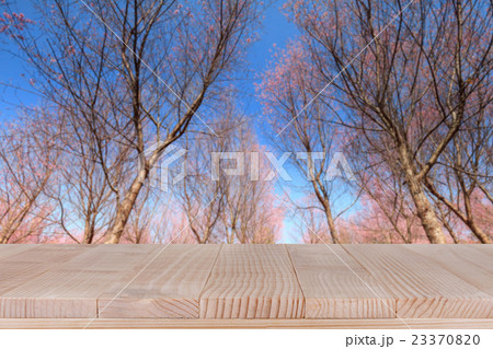 brown wood table top on Sakura flowers backgroud 23370820