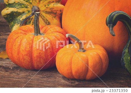 pumpkin on table pumpkin on table 23371350