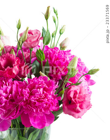 Bright pink peony and eustoma flowers Bright pink peony and eustoma flowers 23371569