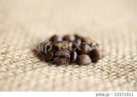 コーヒー豆　スペシャルティコーヒー 23371911