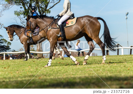 Riders Horses Woman Riders Horses Woman 23372716